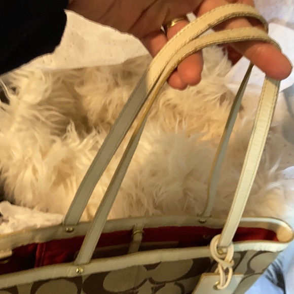 Lot of 2 Coach PreOwned Purses - Picture 3 of 9